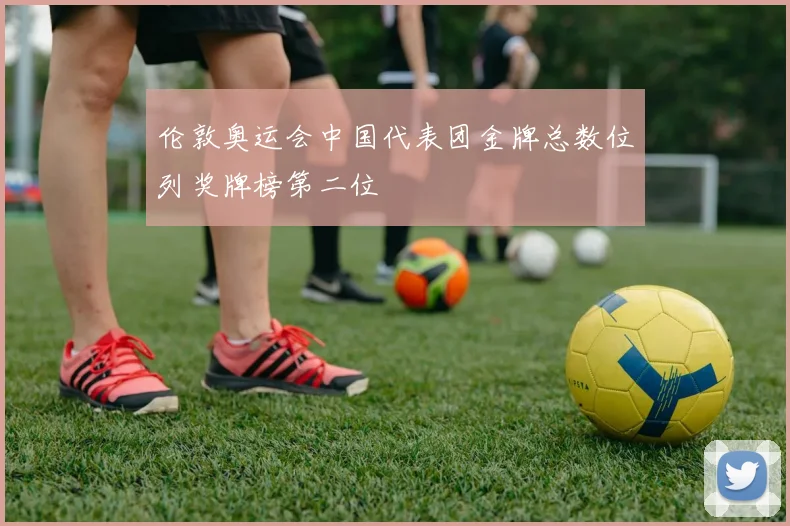 伦敦奥运会中国代表团金牌总数位列奖牌榜第二位